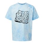 Comfort Colors Color Blast Youth Heavyweight T-Shirt Thumbnail