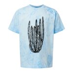 Comfort Colors Color Blast Youth Heavyweight T-Shirt Thumbnail