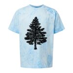 Comfort Colors Color Blast Youth Heavyweight T-Shirt Thumbnail