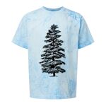 Comfort Colors Color Blast Youth Heavyweight T-Shirt Thumbnail