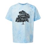 Comfort Colors Color Blast Youth Heavyweight T-Shirt Thumbnail