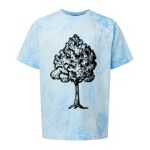 Comfort Colors Color Blast Youth Heavyweight T-Shirt Thumbnail