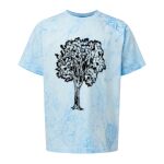 Comfort Colors Color Blast Youth Heavyweight T-Shirt Thumbnail