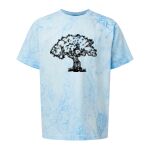 Comfort Colors Color Blast Youth Heavyweight T-Shirt Thumbnail