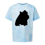 Comfort Colors Color Blast Youth Heavyweight T-Shirt Thumbnail