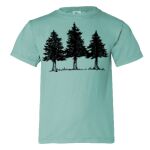 Comfort Colors Youth Garment-Dyed Heavyweight T-Shirt Thumbnail