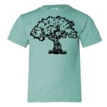 Comfort Colors Youth Garment-Dyed Heavyweight T-Shirt Thumbnail