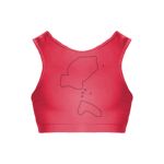 Ladies Mesh Back Bra Top Thumbnail