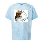 Comfort Colors Color Blast Youth Heavyweight T-Shirt Thumbnail