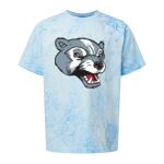 Comfort Colors Color Blast Youth Heavyweight T-Shirt Thumbnail