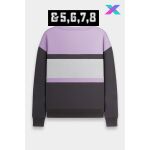 SLX Youth & Adult Striv Crewneck Thumbnail